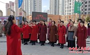 公刘南路社区：志愿服务活动让雷锋精神落地生根